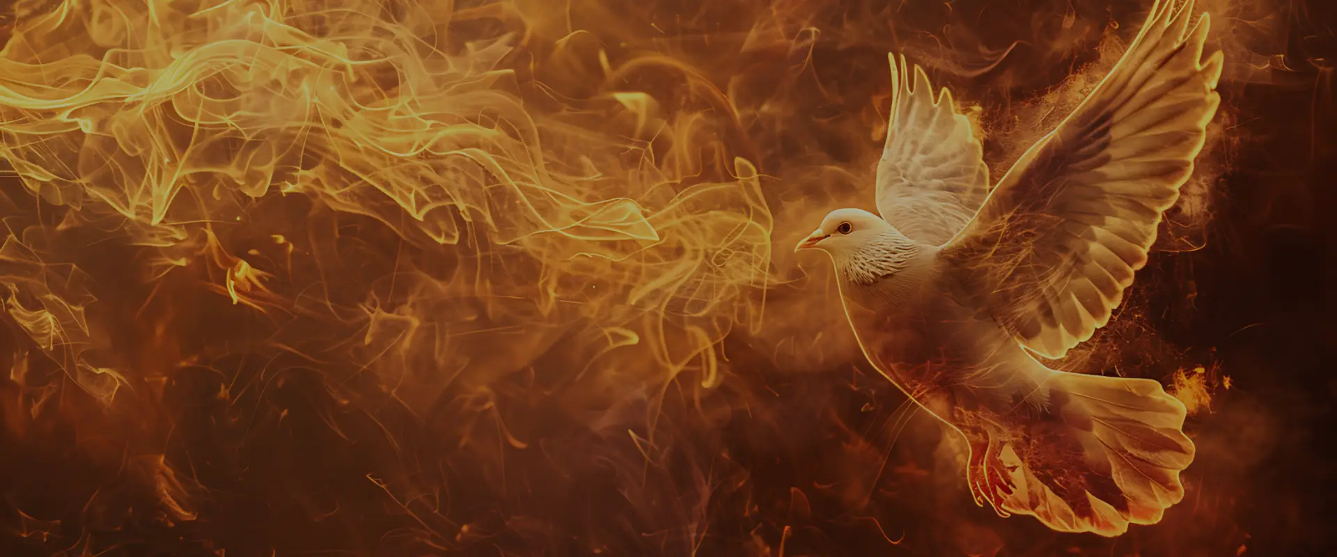 Newsletter: Pentecost Sunday