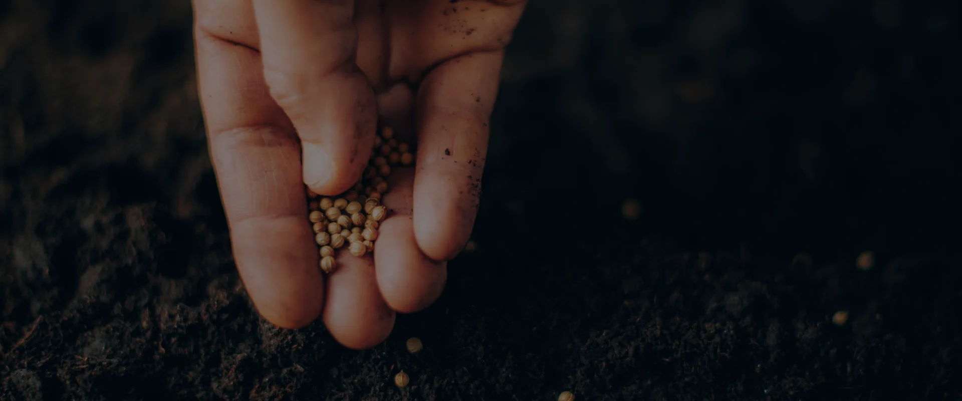Newsletter: Sixteenth Sunday of Ordinary Time Newsletter: Sixteenth Sunday of Ordinary Time